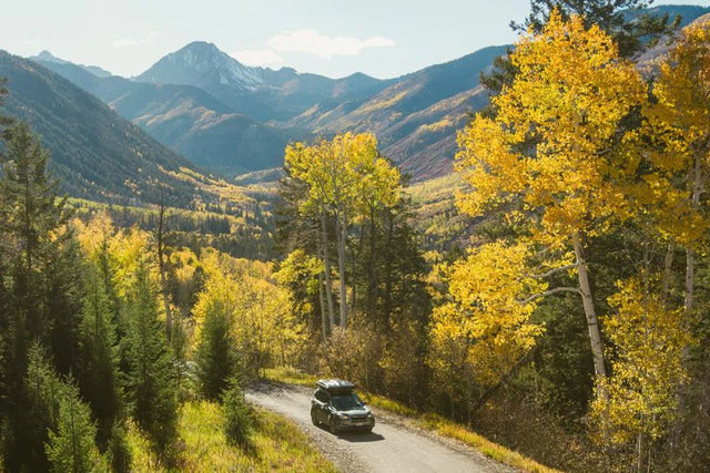 Overland Junction Golden Roof Top Tent