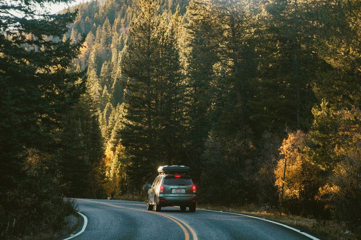 Overland Junction Golden Roof Top Tent