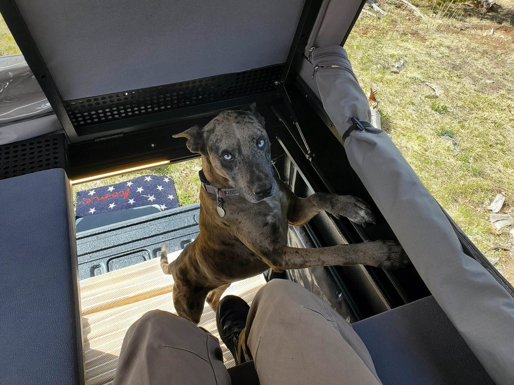 GAIA F150 Shortbed Camper