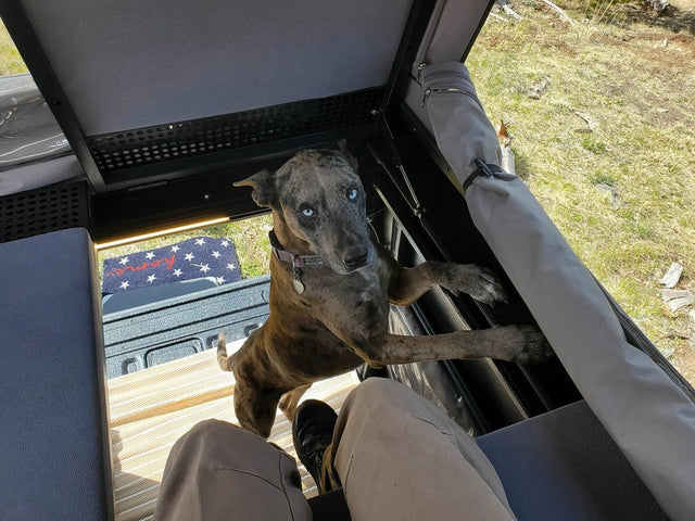 GAIA 3rd Gen Tacoma Shortbed Camper